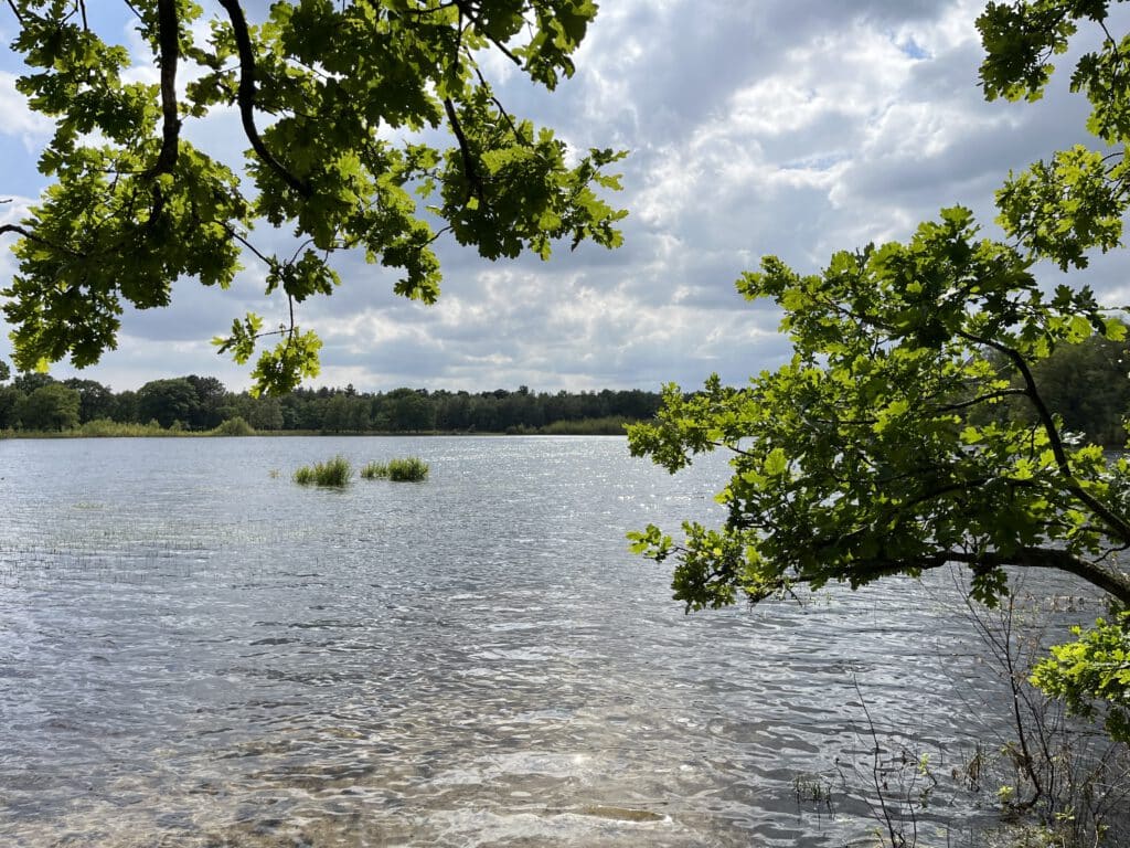 Wandelen Herperduin