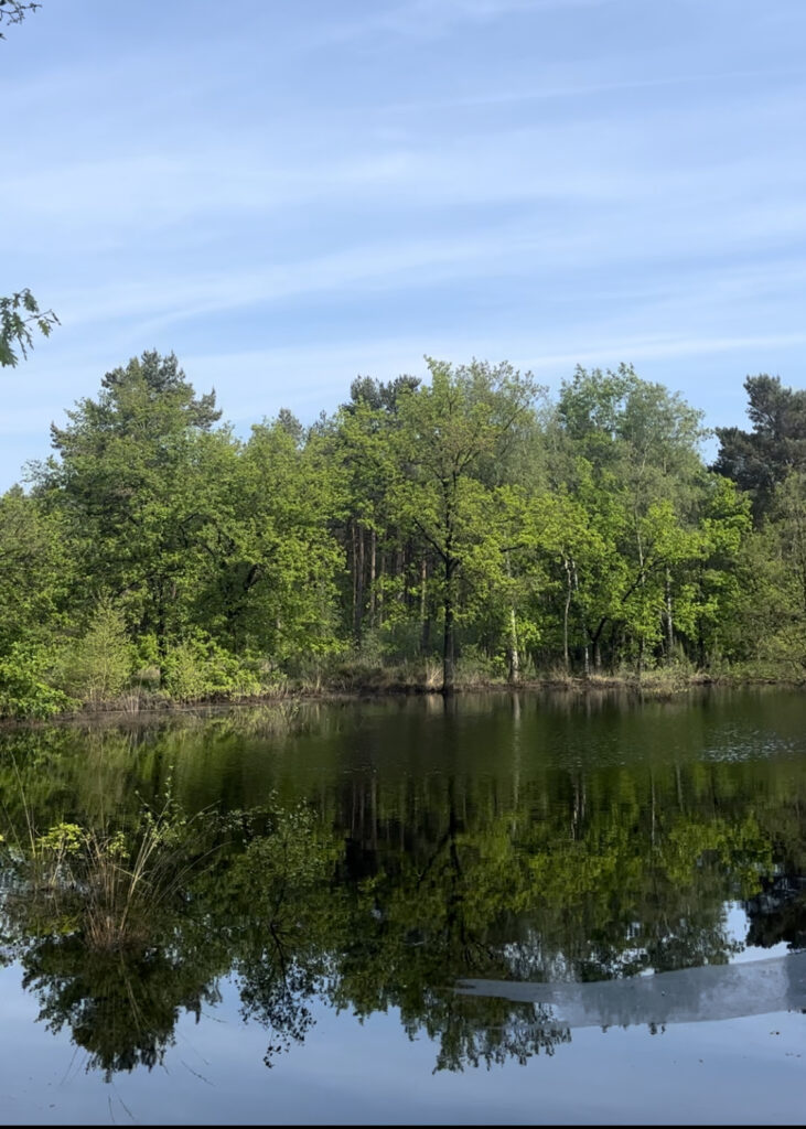 Wandelen Vught