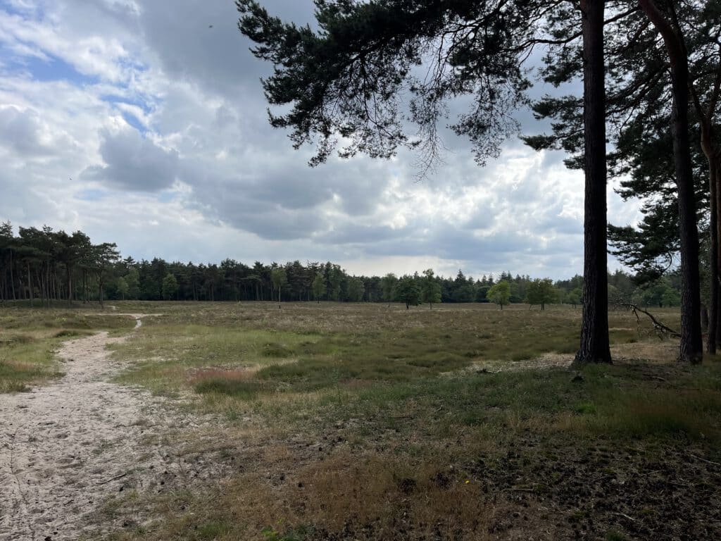 Wandelen open vlakte Herperduin