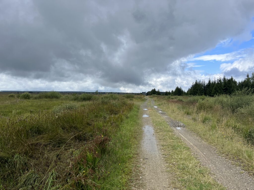 Wandeling Hoge Venen