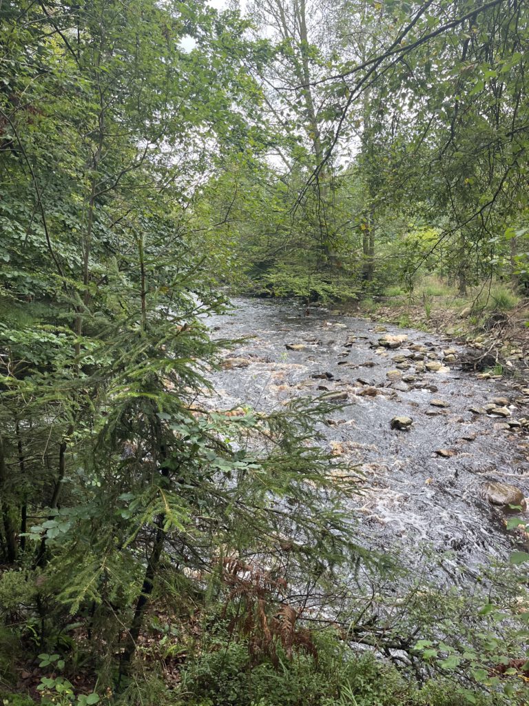 Rivier in de buurt van Eupen