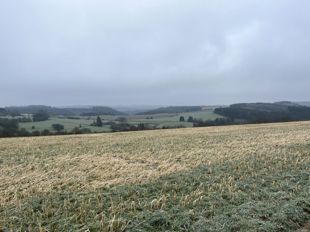 Heuvels rondom Houffalize